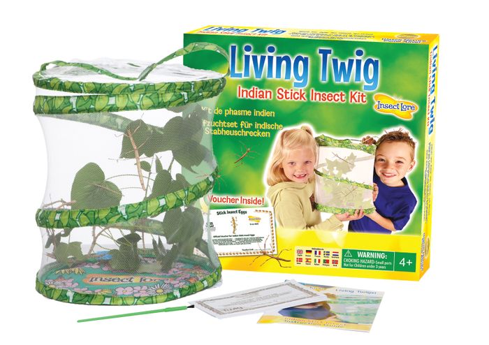 Living Twig - Stick Insect Kit